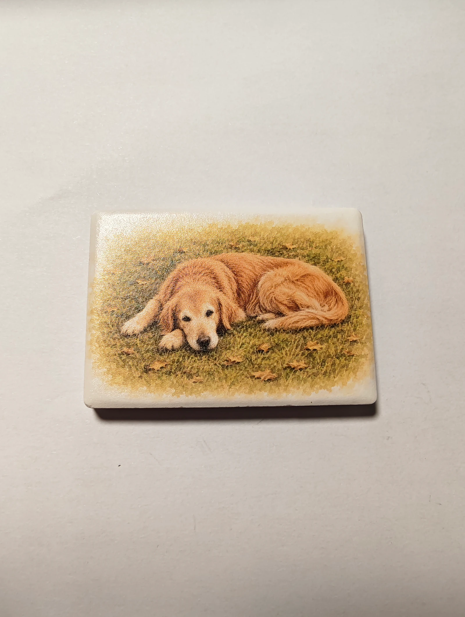 Real Qiqi ceramic magnet photographed flat on a plain surface.